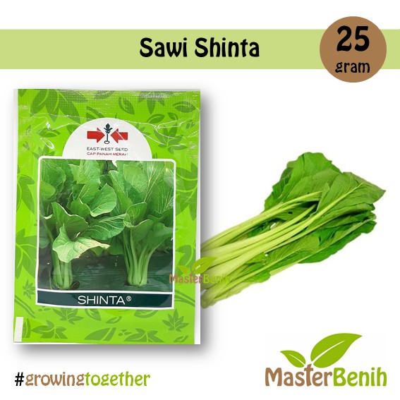 Benih Caisim Sawi Shinta