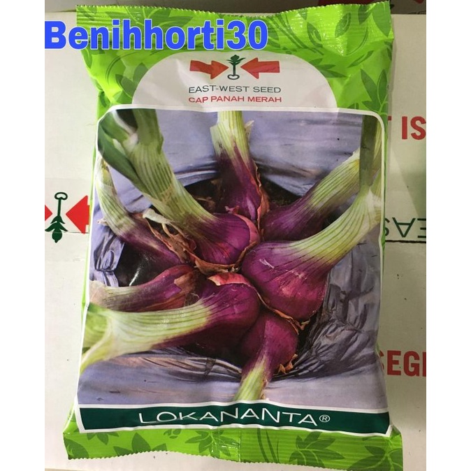 Benih Bawang Merah Lokananta isi 500 gram