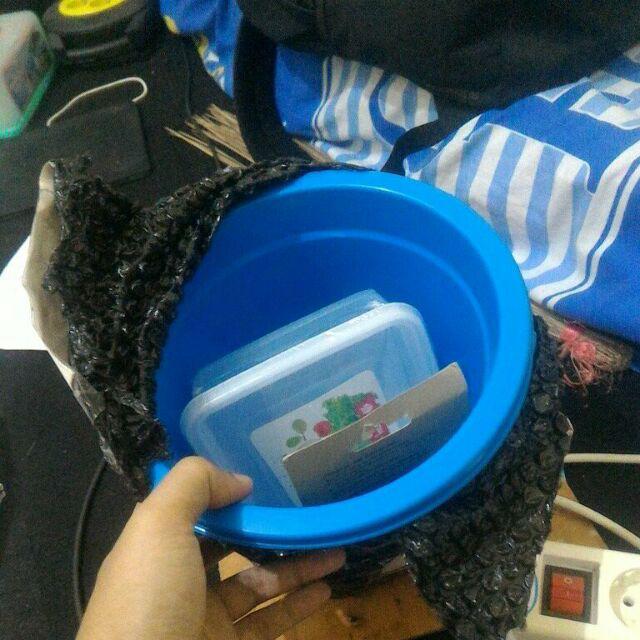 Ember 1.25 Gallons Lux Pl-10 Lion Star Ember Kamar Mandi Tempat Sikat Gigi Ember Plastik Serbaguna