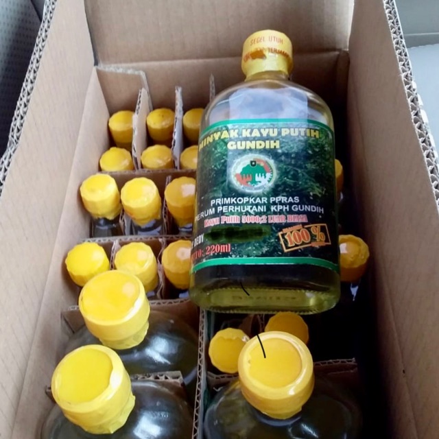 Minyak Kayu Putih KPH Gundih