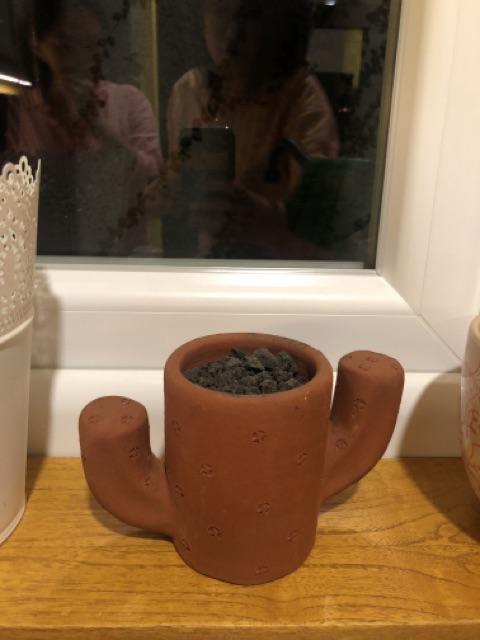 Pot Terracotta Tanah Liat Gerabah D08 Fury