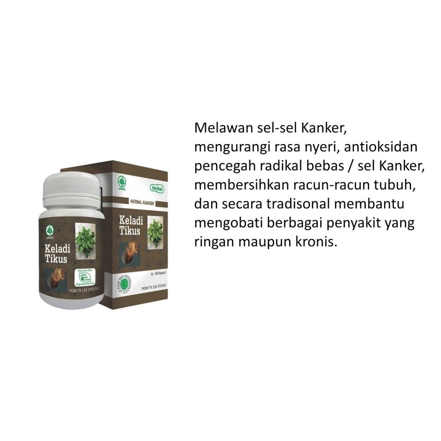 Kapsul Herbal Kanker Keladi Tikus Hiu  Original Herbal Indo Utama