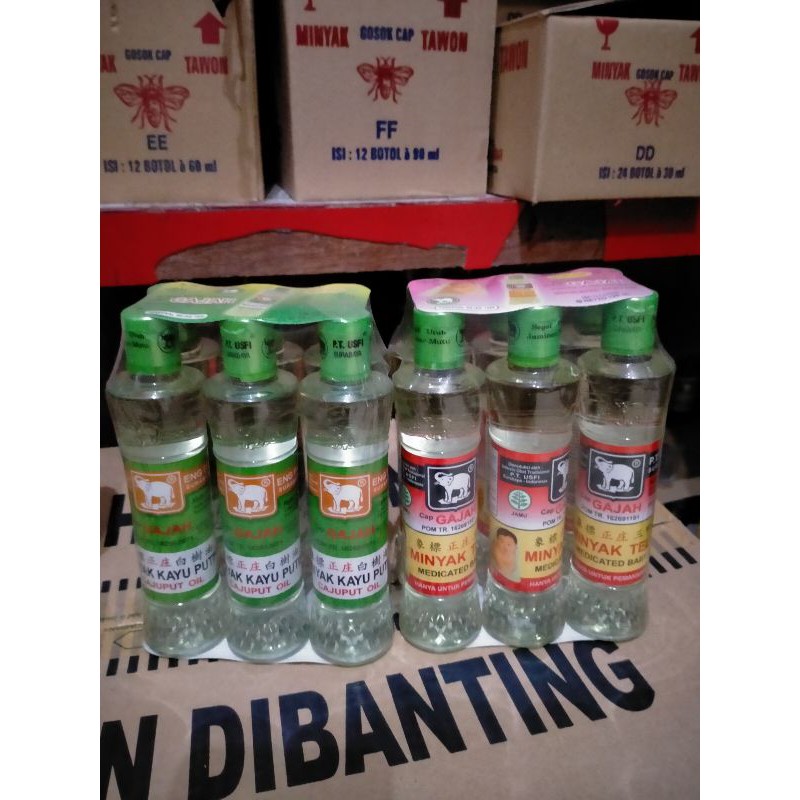 Minyak Kayu Putih Dan TELON 120ML Cap Gajah, per pcs.