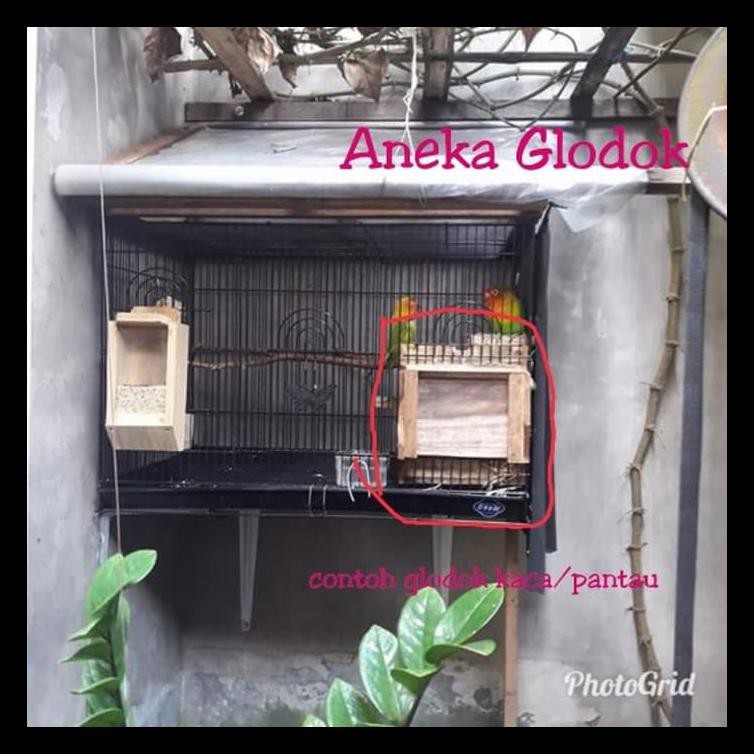 Dijual Glodok Kaca/Pantau Lovebird
