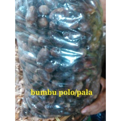 

bumbu pala polo cangkang 500gram