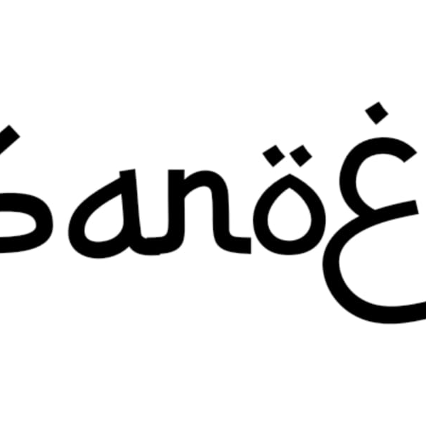 sanoercollections