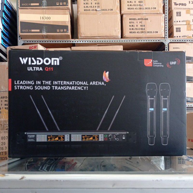 Mic wireless wisdom Q11