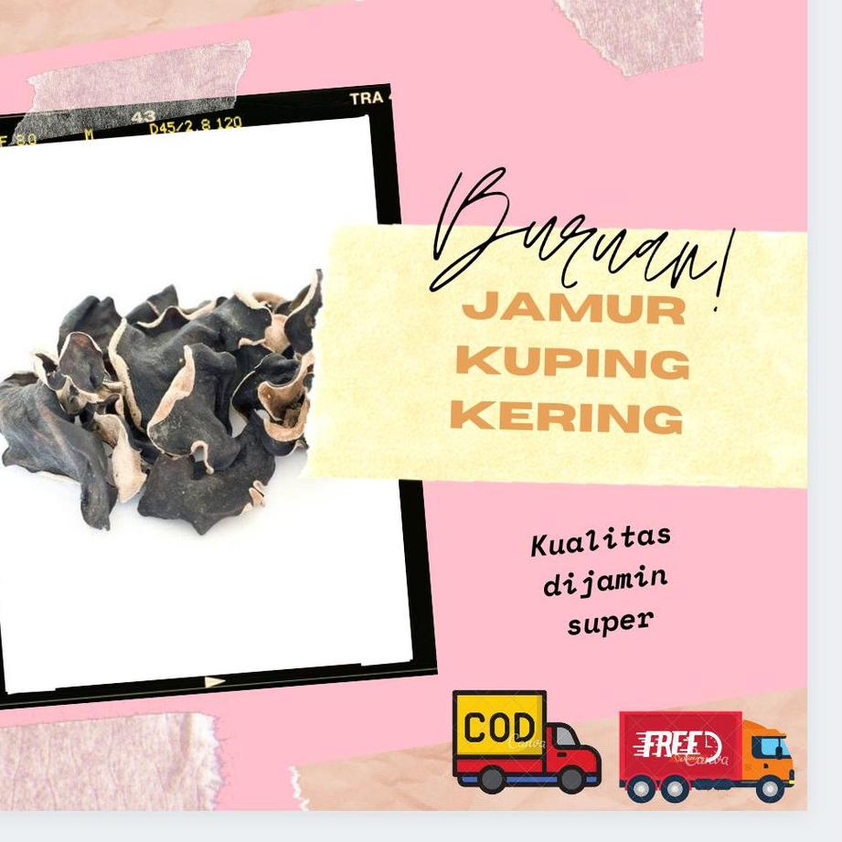 

Terbaik JAMUR KUPING KERING 1Kg GROSIR