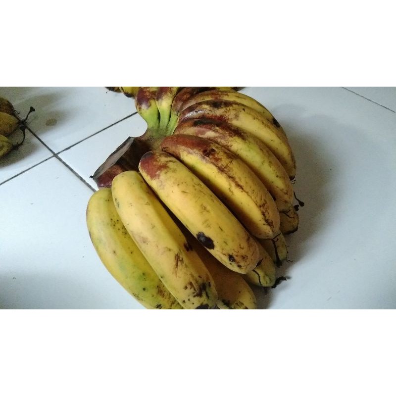 

pisang barangan