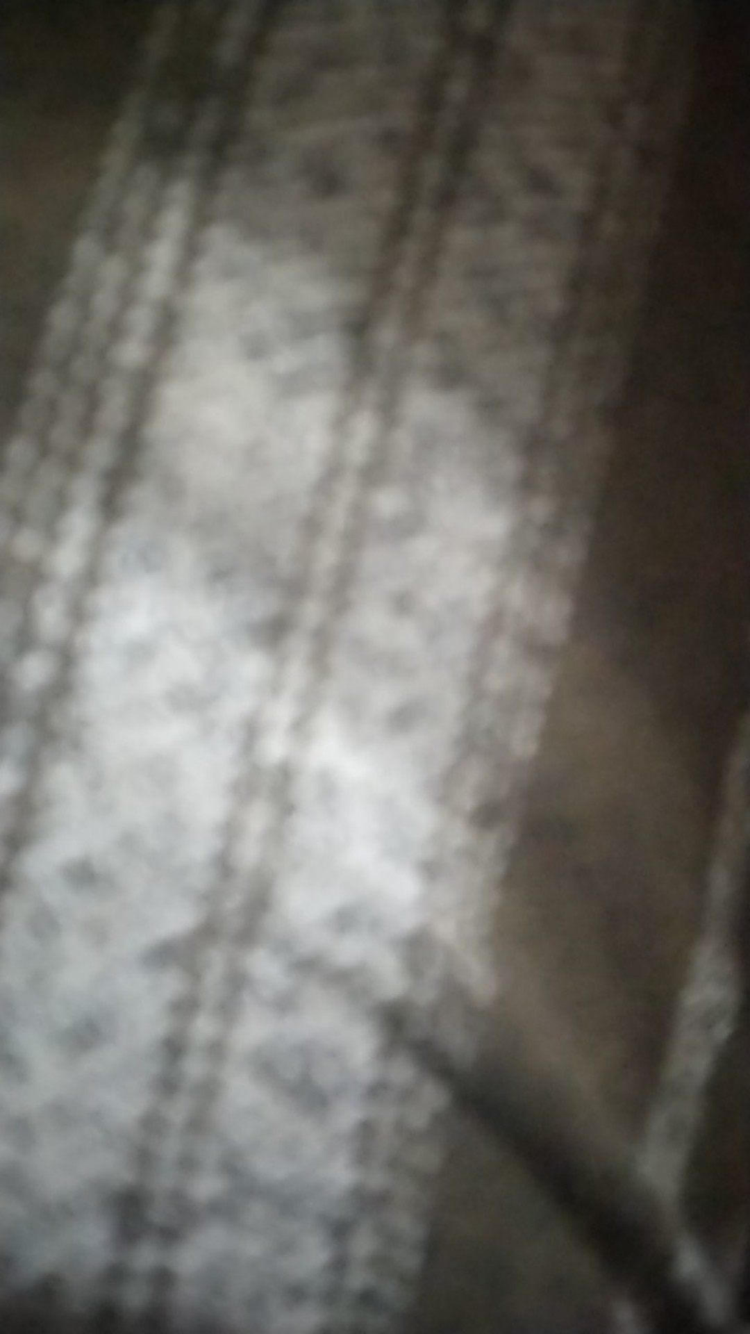 Bibit Jambu Biji Mega Merah