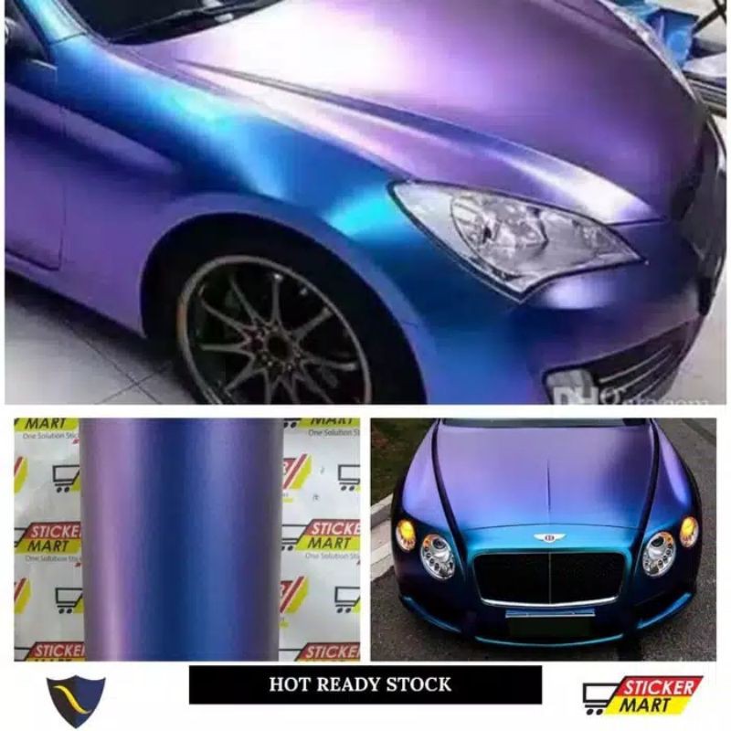 Sticker Skotlet bunglon infinity premium 152cm