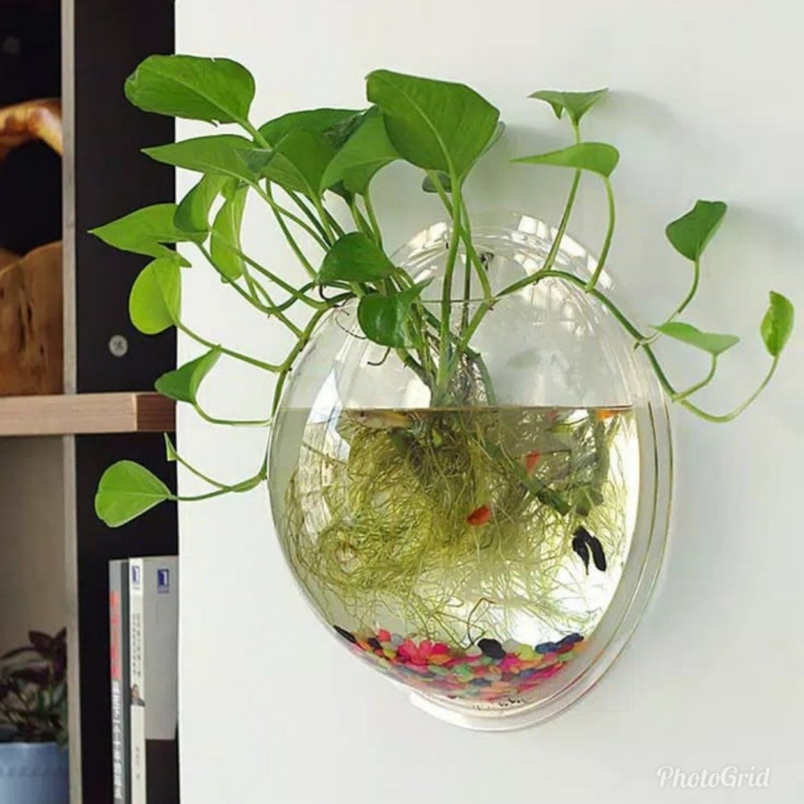 Aquarium Tempel Dinding VIRAL Akuarium Mini Kecil 20cm Ikan ( Cupang dll) Tanaman Hias Aquascape