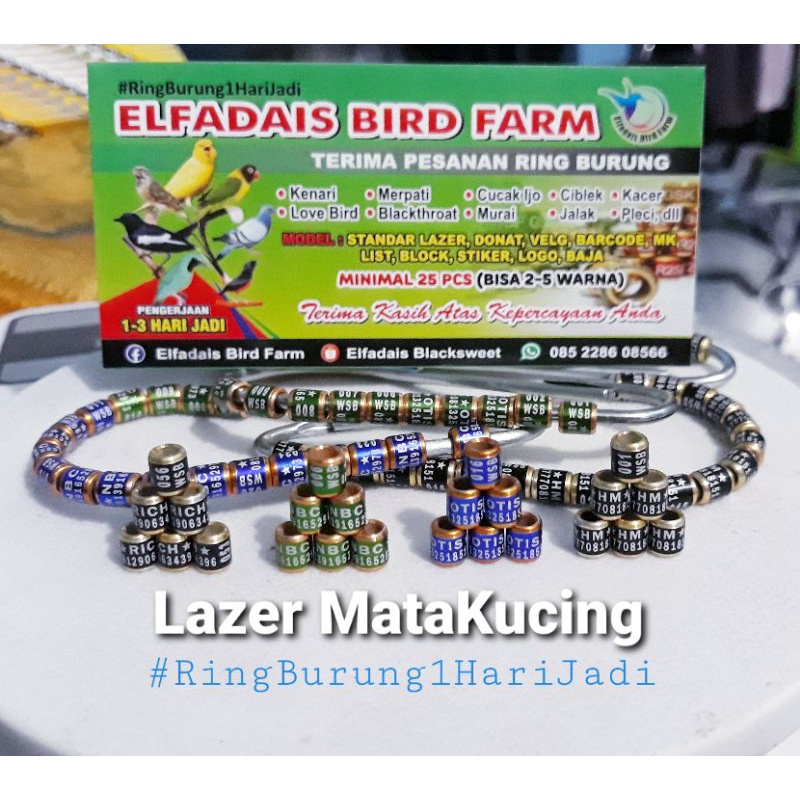 RingBurung 1Hari Jadi MK Lazer MataKucing 2Paket 50pcs 2 - 5 Warna CincinBurung Pengerjaan Cepat Bisa 50Pcs 2-5 Warna