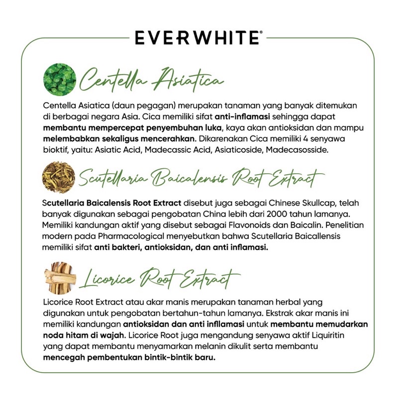 EVERWHITE Mugwort Pore Clay Mask Indonesia / Facial Wash Toner Essence Serum Eye Cream Masker Soap