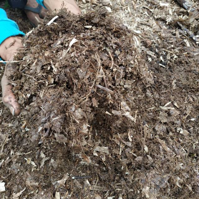 Media Tanam Tanah Humus Bambu Organik