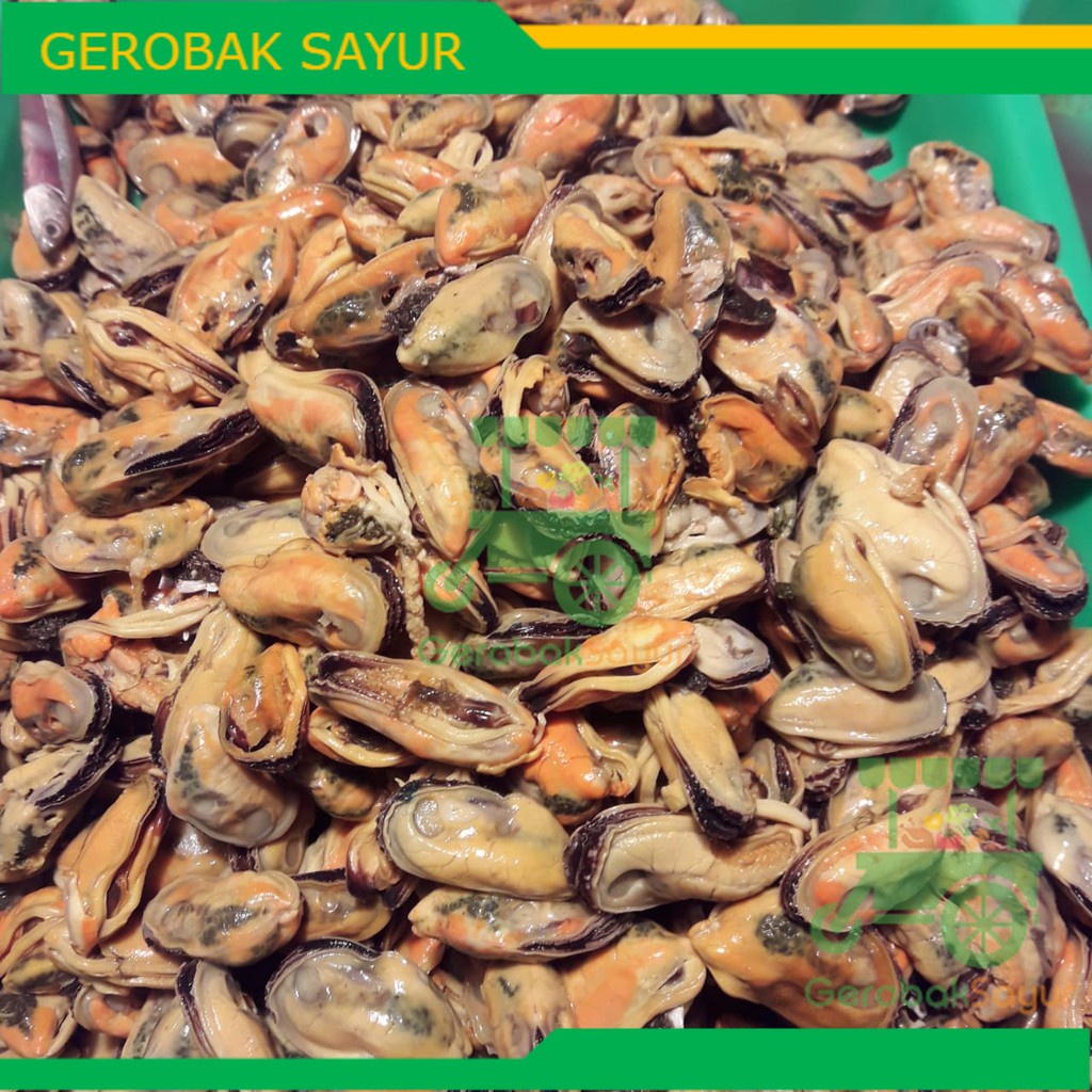 

Kerang Segar Kupas Kulit