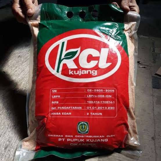 Pupuk KCL Kujang 5 kg