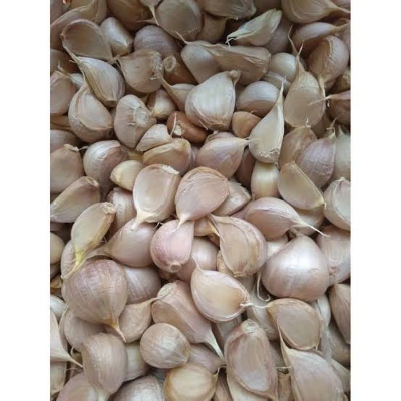 

bawang putih kating 500gr