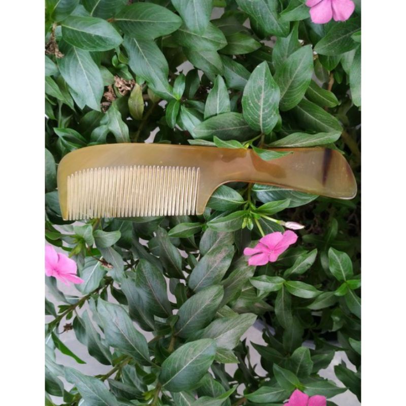 SISIR RAMBUT KESEHATAN asli tanduk