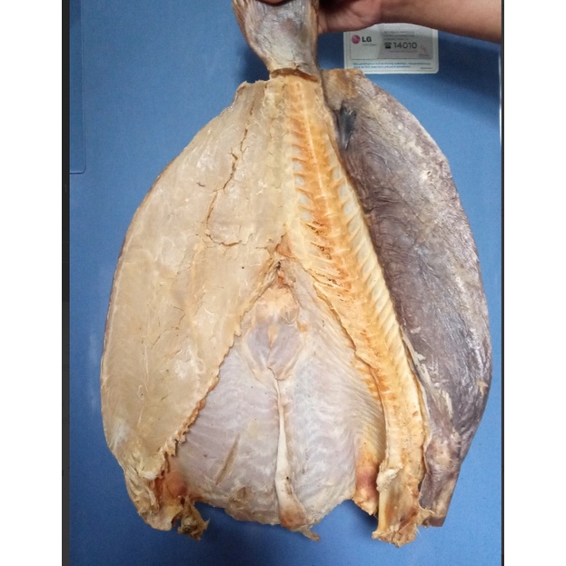 

Jambal Roti Kualitas Super Tanpa Tulang/ Ikan Asin Super/ Ikan Asin Menak