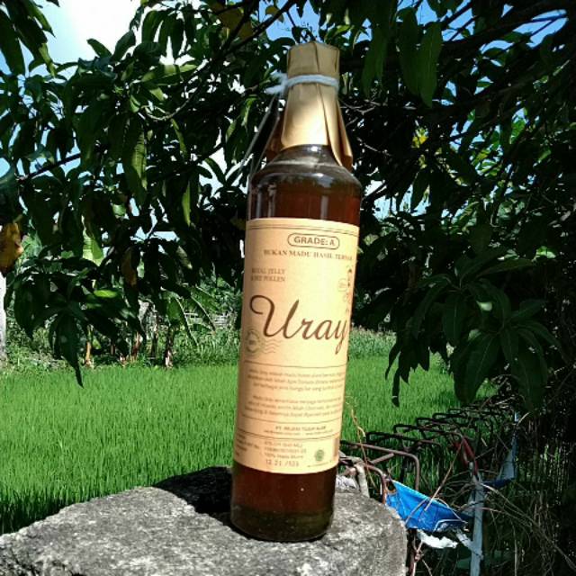 

Madu Uray 640 ml/Madu Lebah Hutan /100 % Raw Natural Honey