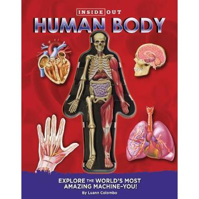 Inside Out Human Body BBW Anatomi Tubuh Manusia