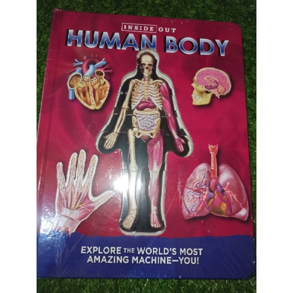 Buku impor pengetahuan anak- BBW - Inside Out - HUMAN BODY