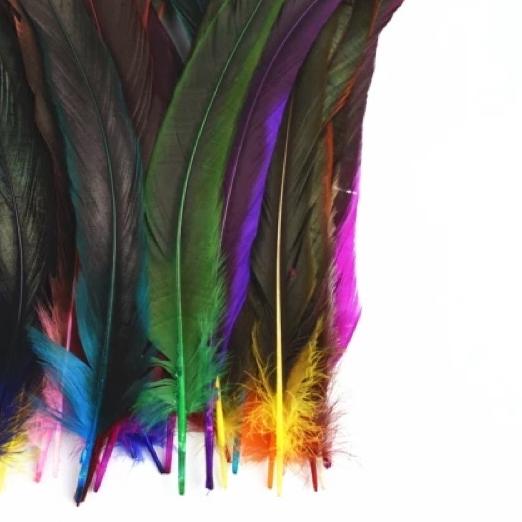 ➲ 15 helai Bulu Ayam Jago Super Panjang 25cm - Bulu Ayam - Bulu ayam panjang 25cm - Bulu Ayam Warna 