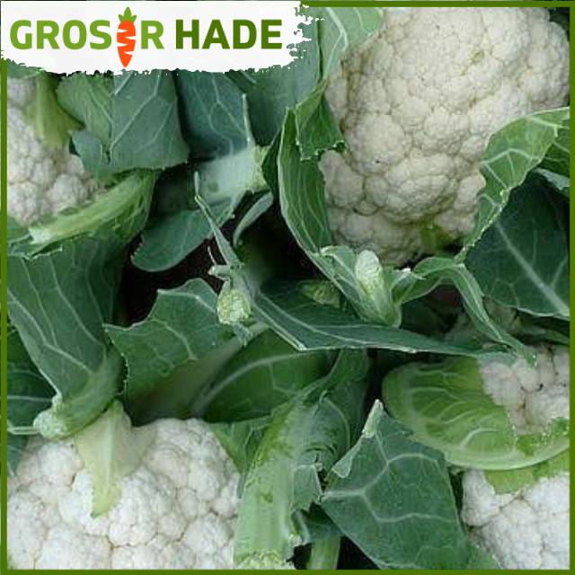 

Bunga kol bandung 500 gram Pasar Bandung Murah