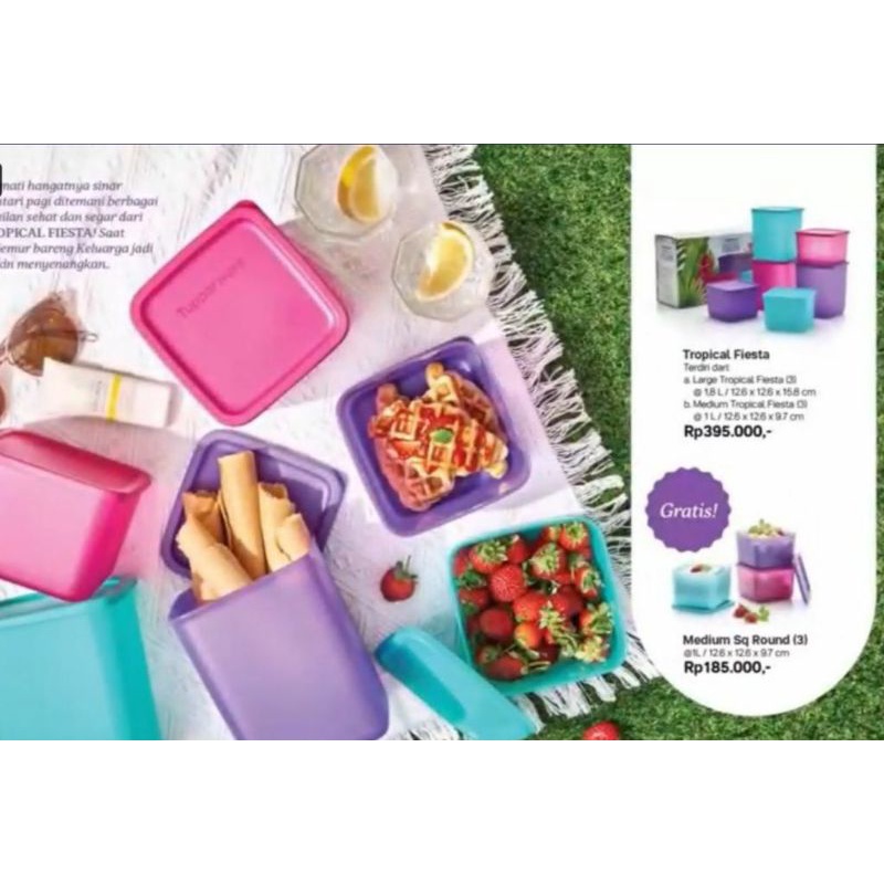 Tropical Fiesta Small Medium Large Summer Tropical Fiesta (9pcs)