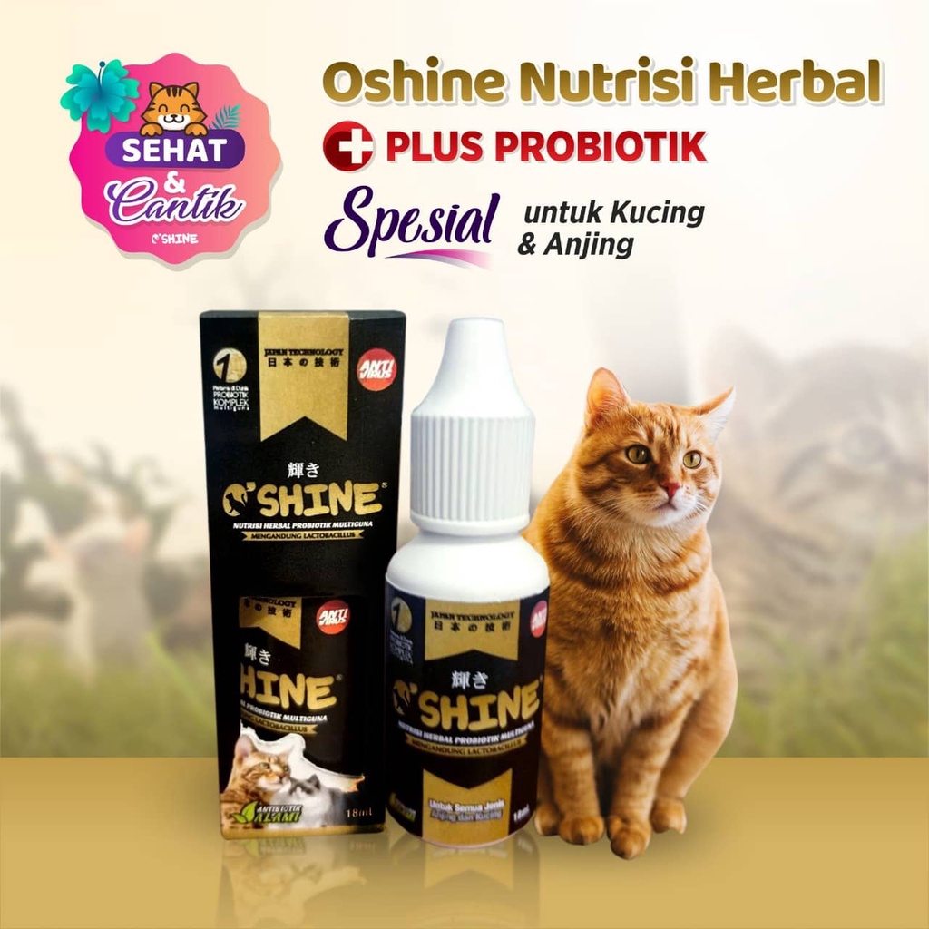 Oshine Probiotik | Obat Kucing Multiguna | Nutrisi Kucing | Vitamin Kucing | obat Kucing Probiotik