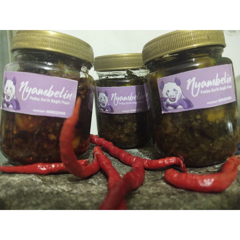 

SAMBEL TERI MEDAN MURAH