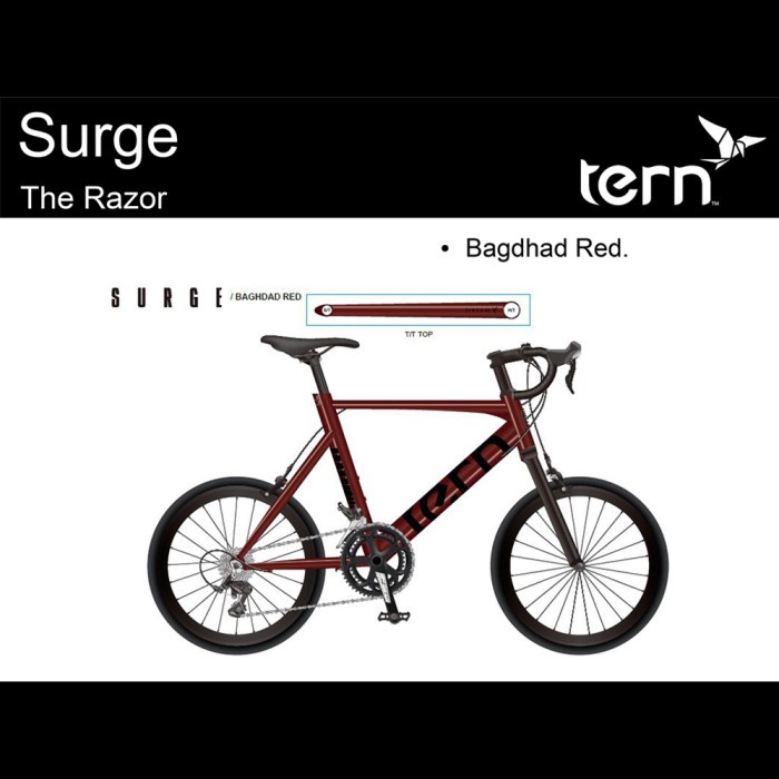 Tern Surge [22 inch] Sepeda Classic Japanese Minivelo 8 Speed