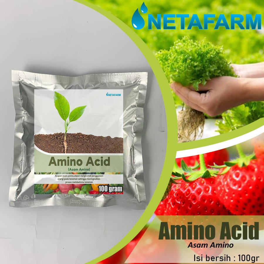 Nutrisi Tanaman Pertanian Amino Acid Asam Amino - 100gr