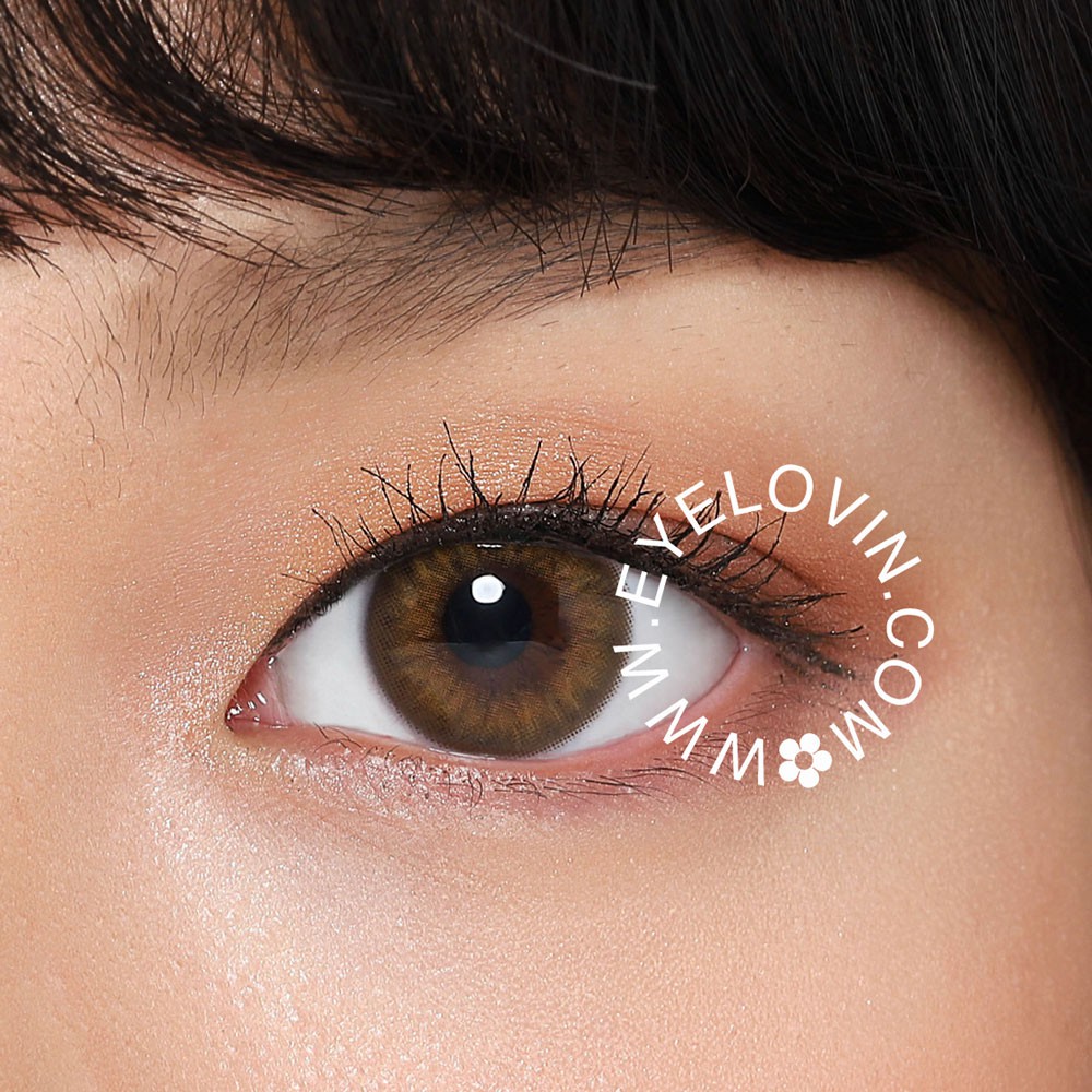 EYELOVIN Softlens EOS - Spanish Circle Brown