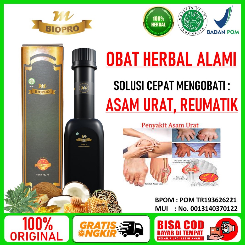 Obat Asam Urat Obat Asam Urat Dan Kolesterol Nyeri Sendi Obat Herbal Asam Urat Obat Asam Urat Ampuh 
