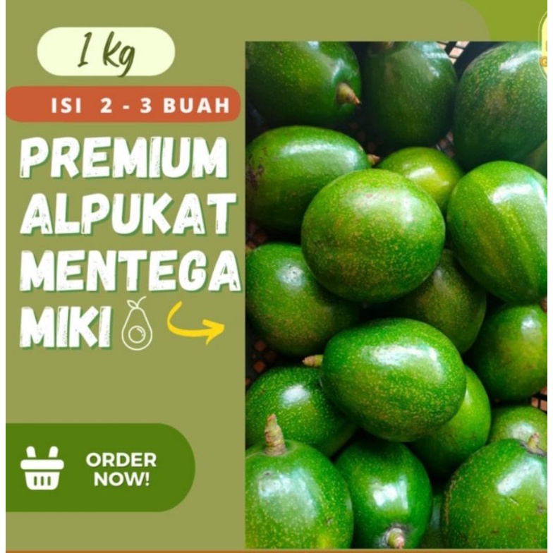 

Buah Alpukat MIKI JUMBO KENDIL mentega Super 1 kilogram kuning