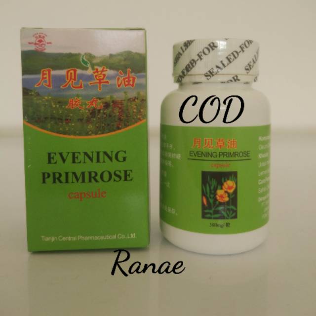 Pt Sinar Herba Evening Primrose - capsule obat kolesterol