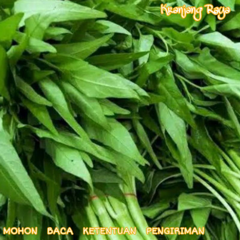 

Kangkung per ikat