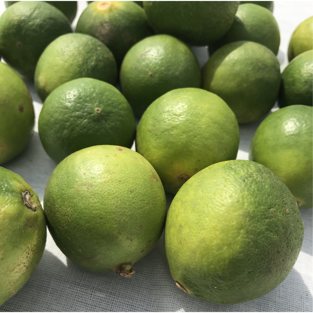 

JERUK NIPIS / LIME FRUIT
