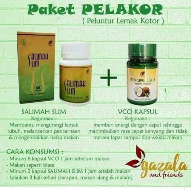 Paket pelakor sr12