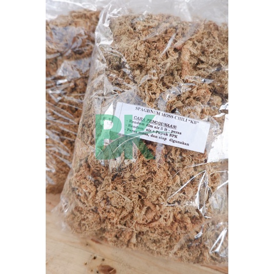 Spagnumm moss - premium chili original- spagnum moss -carnivora plant - spaghnum moss anggrek