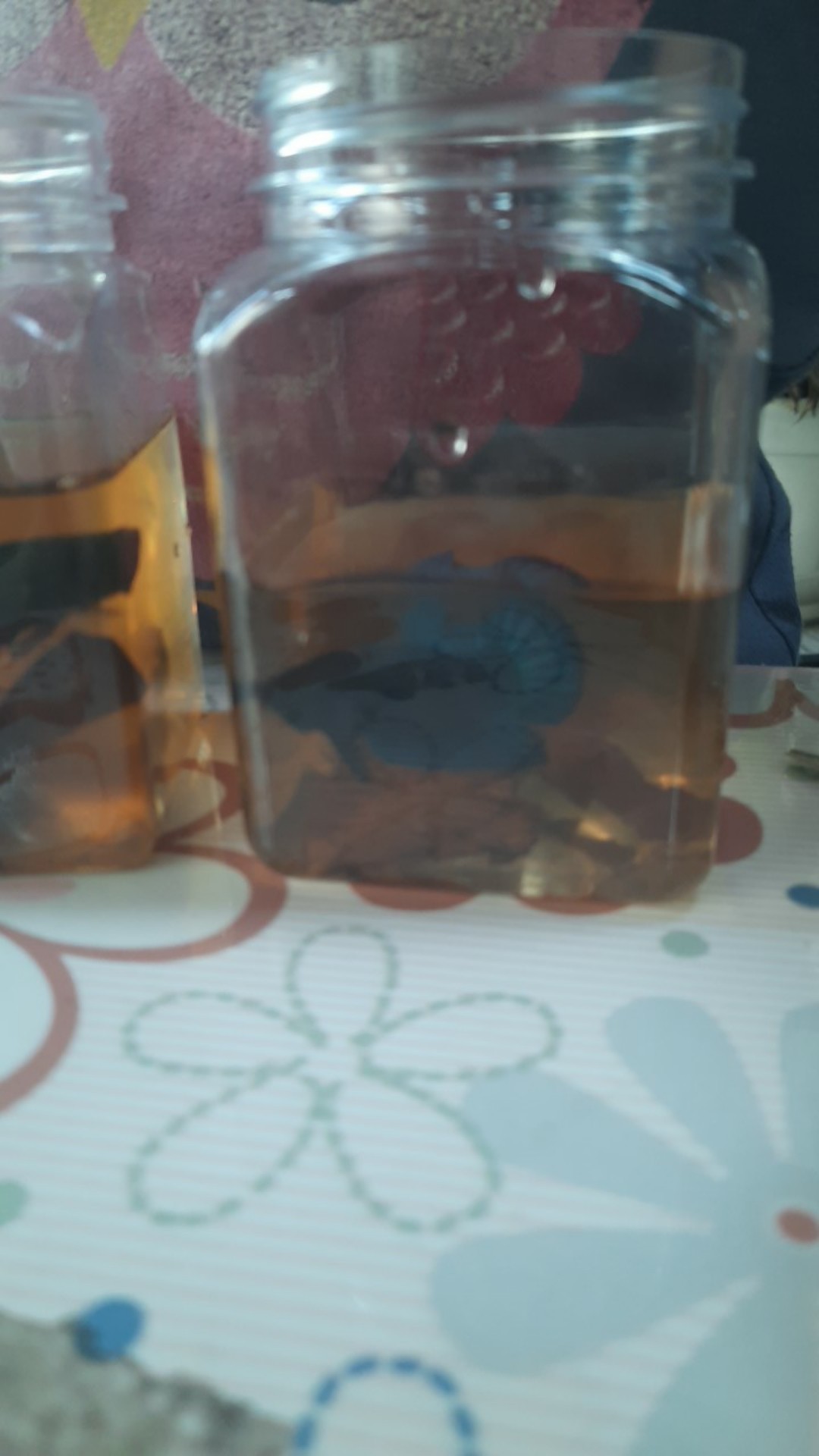 Toples Plastik Kotak 340ml - Toples Sambal/bumbu/selai/kue/parsel/coklat