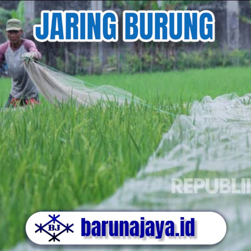 Jaring Burung - Jaring Sawah - Jaring Padi