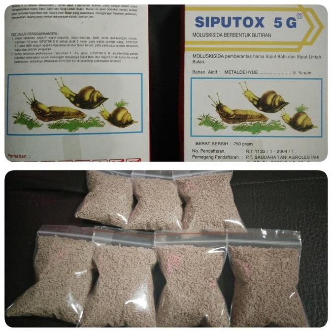 Pembasmi hama siput/keong (Siputox 5G) BIG SALE