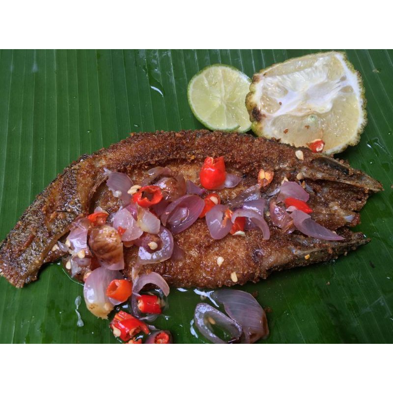 

ikan semu gurih (tidak asin)
