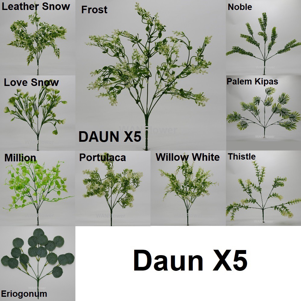 WANFLOWER Daun X5 * ALL