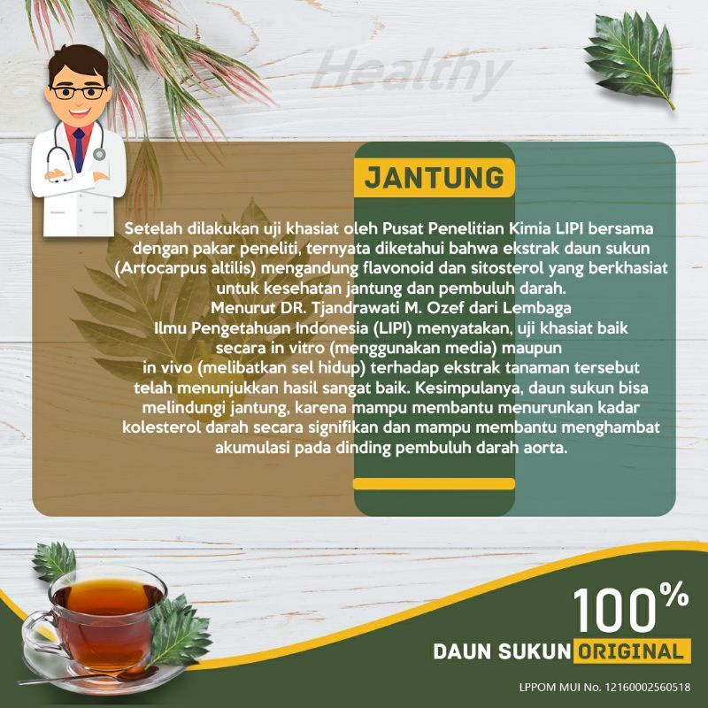 Teh Daun Sukun Premium Laasyaka Asli Yogyakarta Herbal Peluruh Batu Ginjal