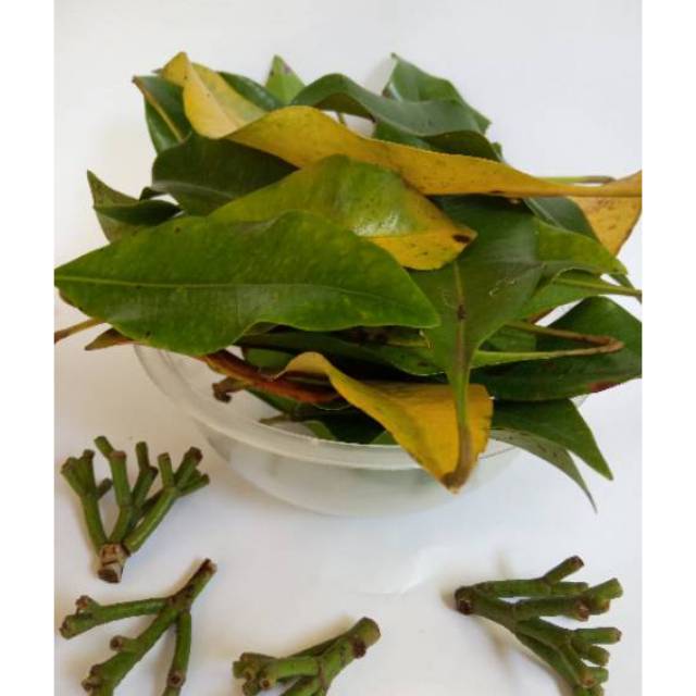 Daun Cengkeh/Gagang cengkeh/Kering/Basah kwalitas super & Bersih