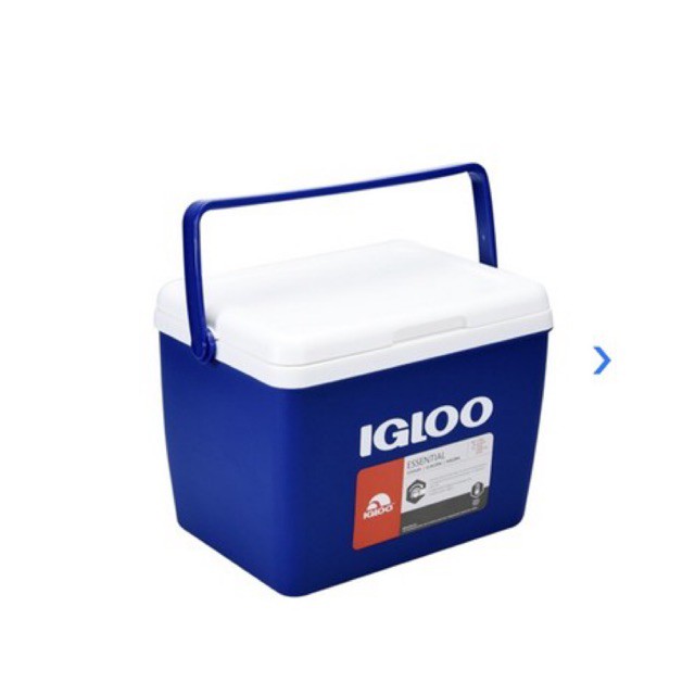 Jual Cooler Box 8.3 Ltr Igloo Ace Hardware Lemari pendingin cool box ice box Shopee Indonesia